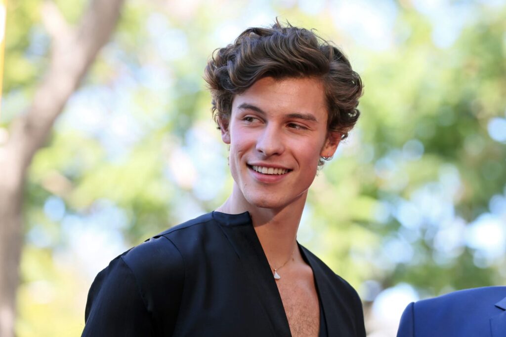 Ultimate Shawn Mendes quiz